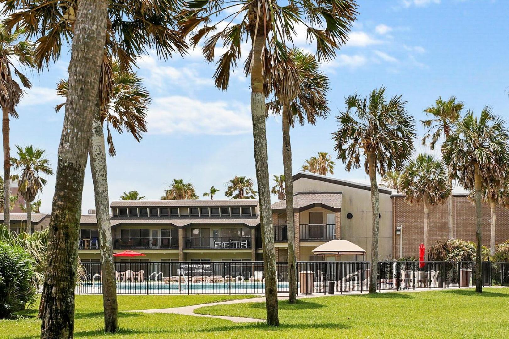 Ground Floor Beachfront Beauty! Steps To The Beach And Pool South Padre Island Zimmer foto